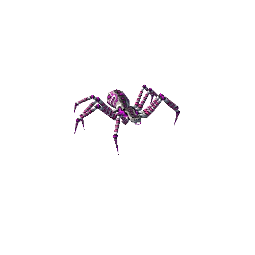 spider 7